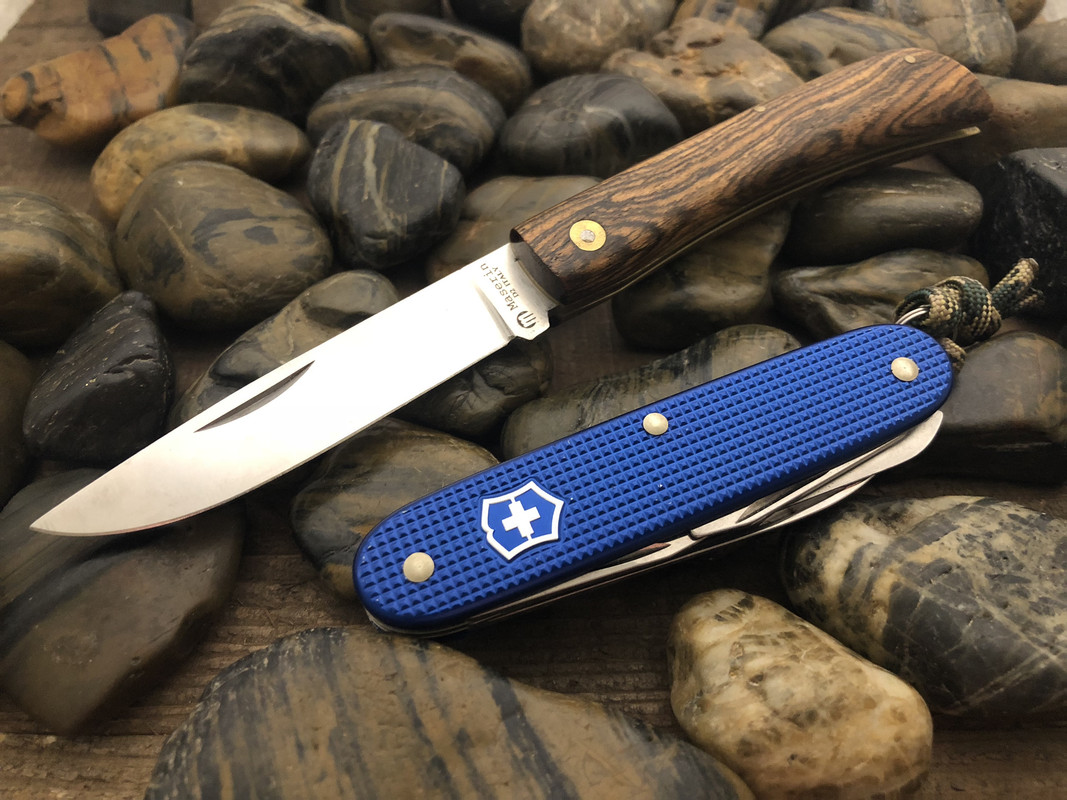 13CB4561-774E-4264-A677-CAF069FB2A39