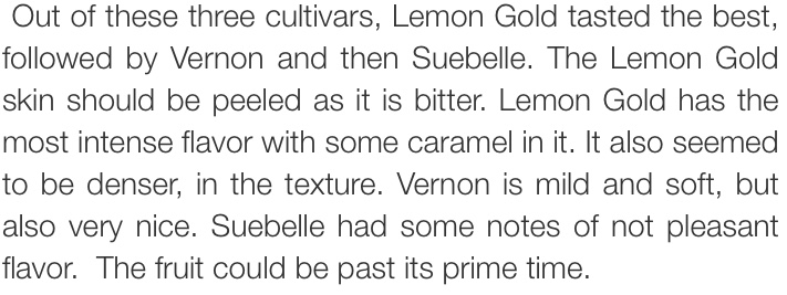 5AE384FC-335D-4B59-949F-C3E42759E6C3