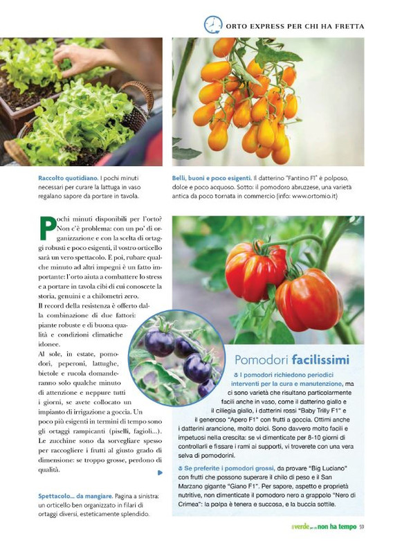 Pol Ver Spe Apr-Mag 2023 (8)