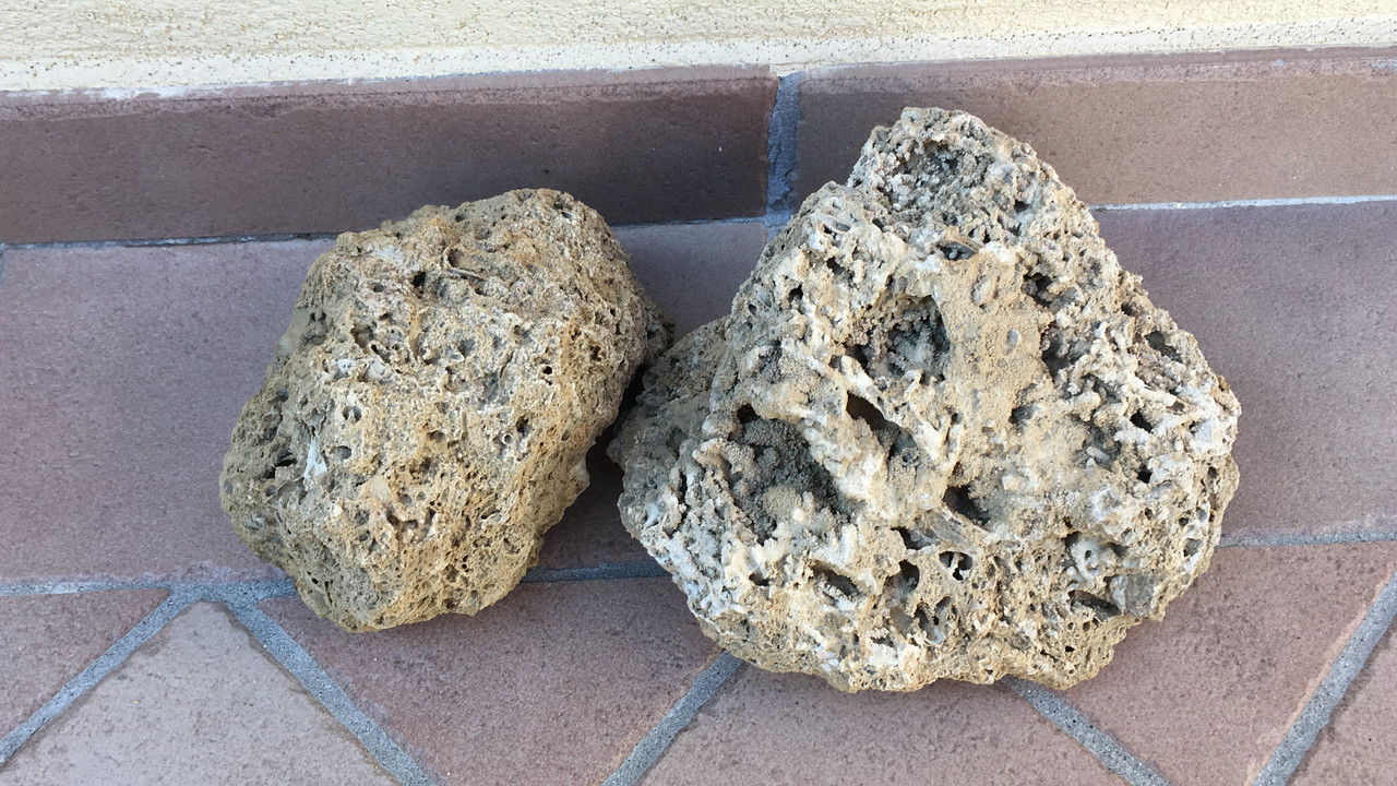 0A136E1A-5316-4446-B900-2D99073C33A7