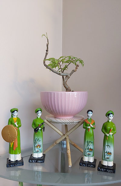 [Image: 20200526-123630.jpg]