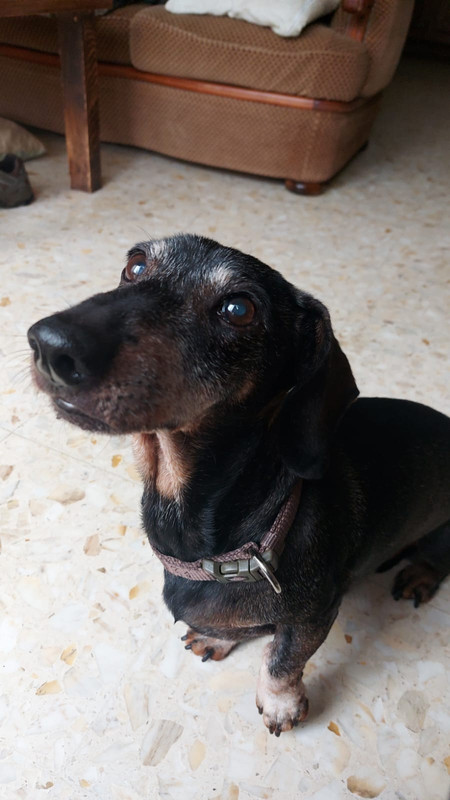 [Image: IMG-20240126-WA0008.jpg]