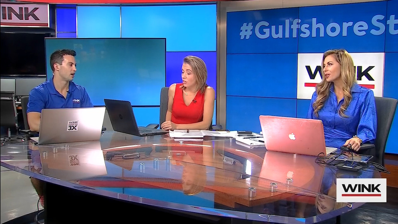10.09 - 13.00.00 - WINK News at 8 00AM  ᴺᵉʷ..ts_snapshot_00.19.41.429