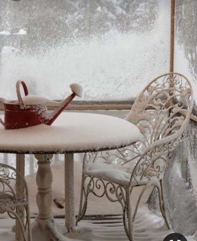 Screenshot_20231221_221542_Pinterest