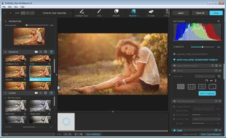 Perfectly Clear WorkBench 4.0.0.2182 (x64) Multilingual