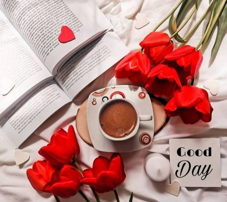 Screenshot_20221213-210935_Chrome