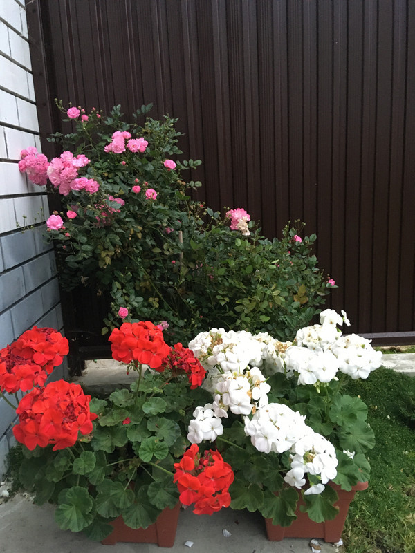 4B2C6A4E-DB80-4377-BC65-A365233C52FA