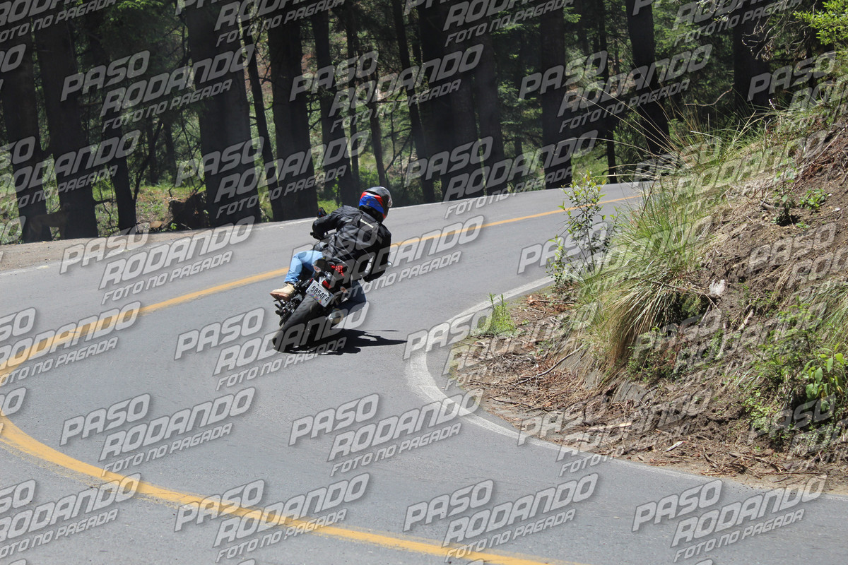 IMG 8741 wm 7150745 6 watermarked — Postimages