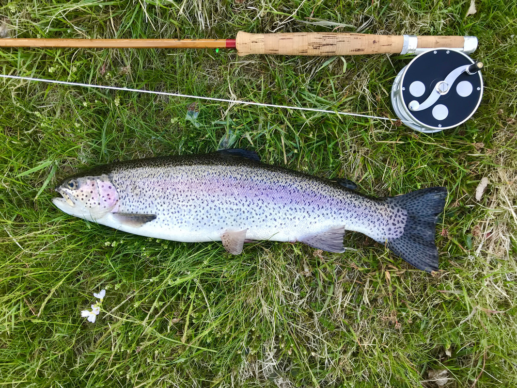 EC20CE24-4454-4443-BEF4-6853C32F7FE5