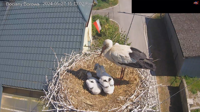 Przechwytywanie w trybie pełnoekranowym 27.05.2024 151335