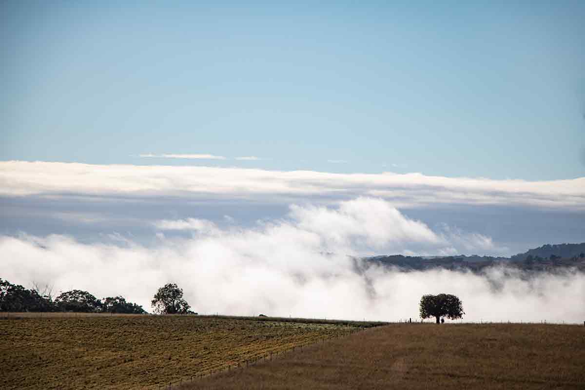 Morning mist on the Great Dividing Range
