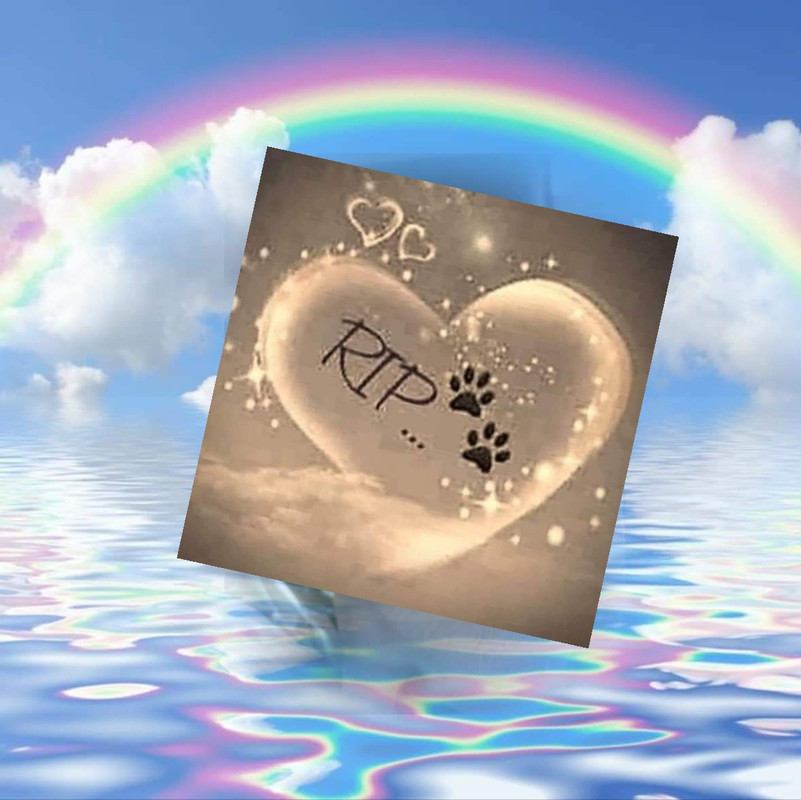 [Image: 20230913-104548.jpg]