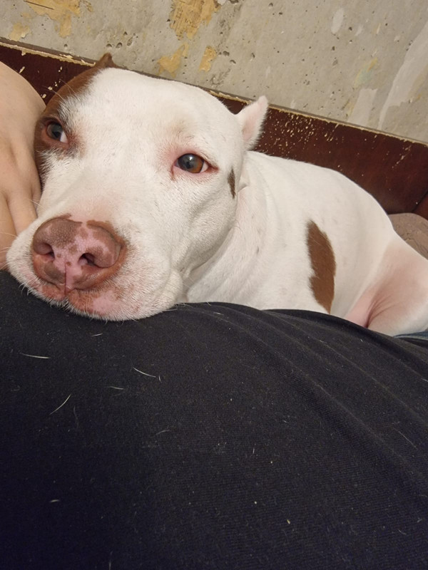 DB817AB4-483A-47F3-BEF2-280A62384A8A