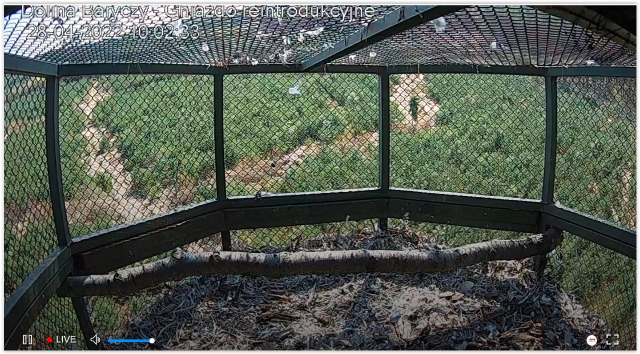 Screen Shot 04-28-22 at 10.03 AM