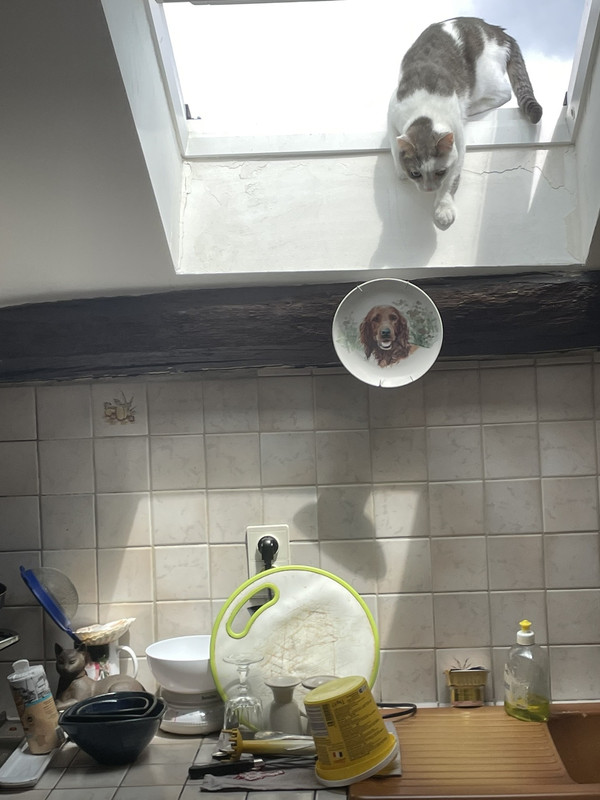 088469F0-F400-4968-9B8B-ADA4863750FB