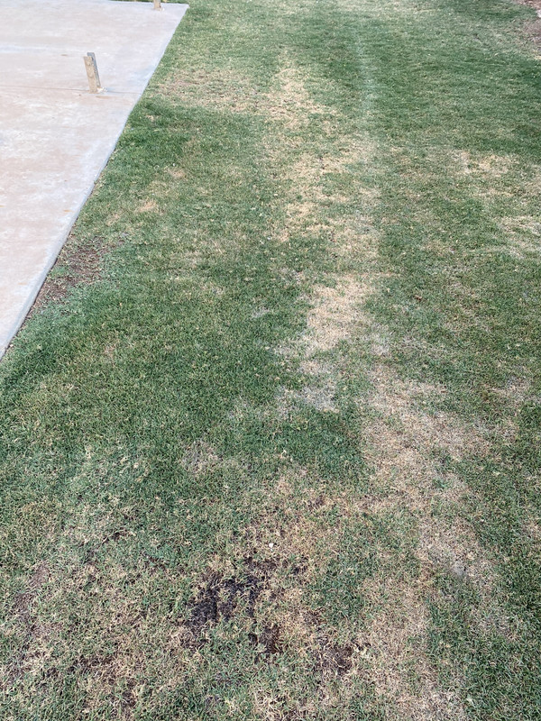 0741BA12-2A5B-4564-B94D-0D1865A8B4C1