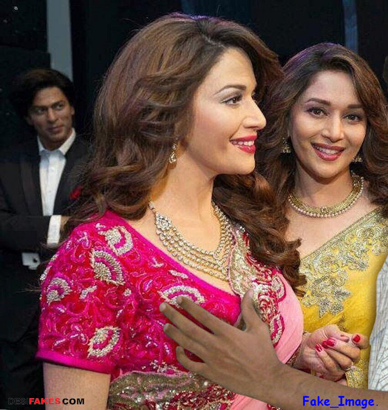 Madhuri_Old_Fake_359