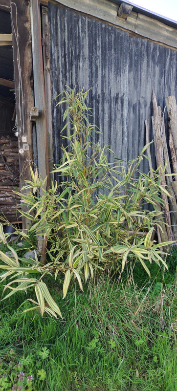 IMG 20260321 153443