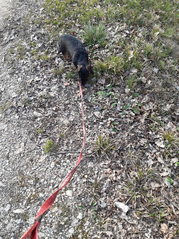 [Image: 20230303-160318.jpg]