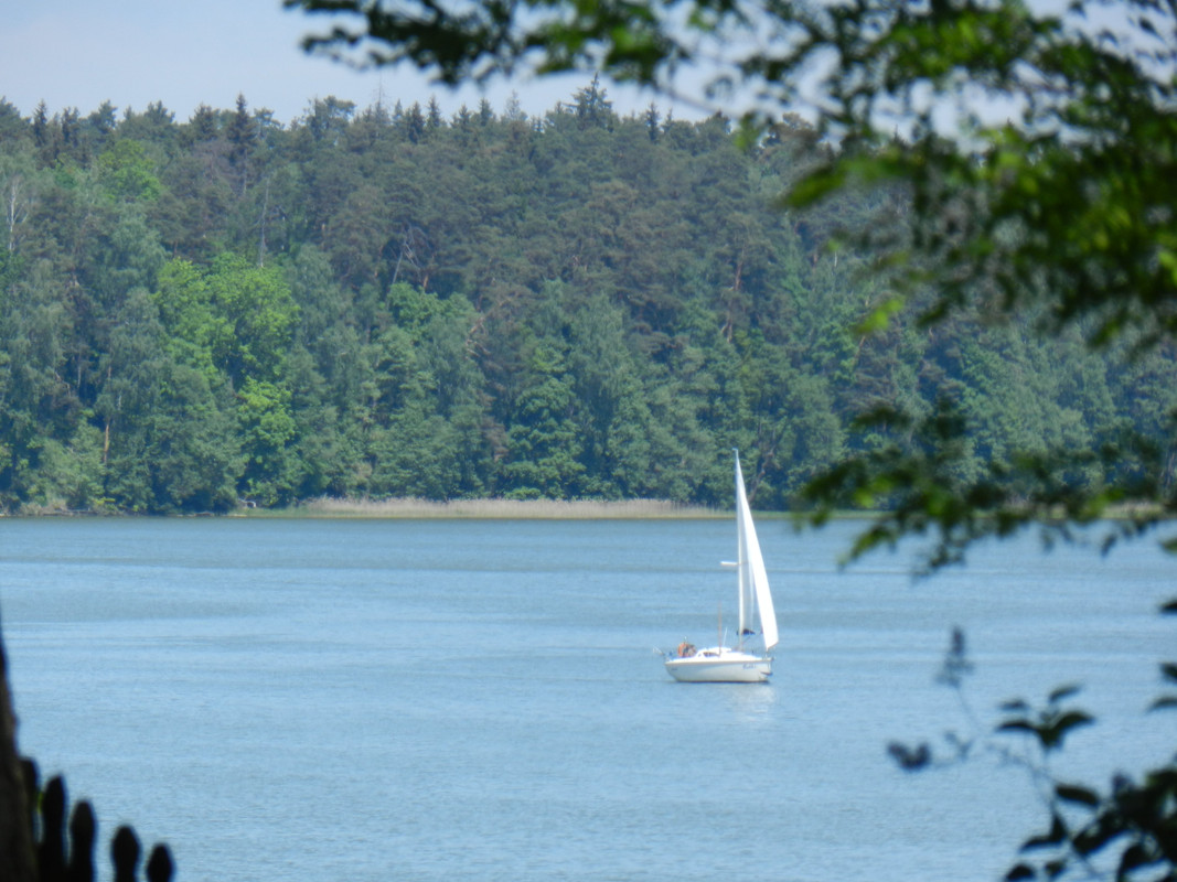 07b - DSCN4038 (Milady)