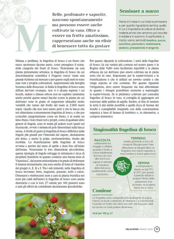 melaverde Mar 2023 (8)