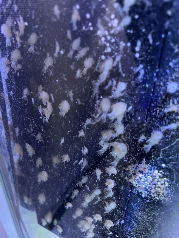 83328F38-6771-43B1-A68A-2B1CCE8F59B6