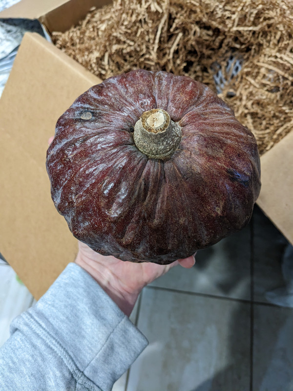 PXL_20230302_185236085