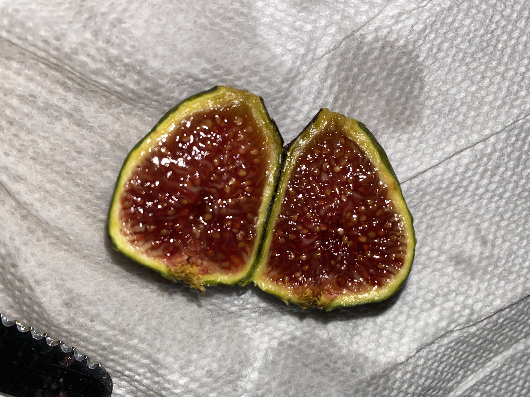 08C118C1-89B9-40A6-AFD5-9420D9C6349C