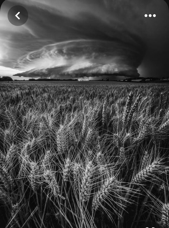 Screenshot_20230804_234147_Pinterest