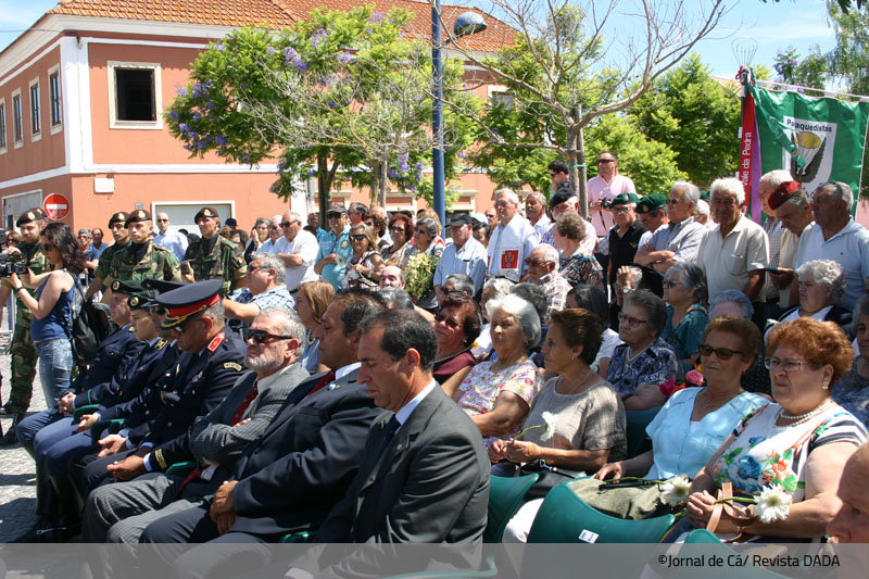 SS_combatentes_VCO1