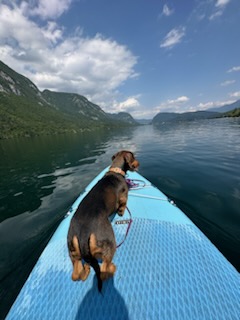 [Image: IMG-20240402-122701.jpg]