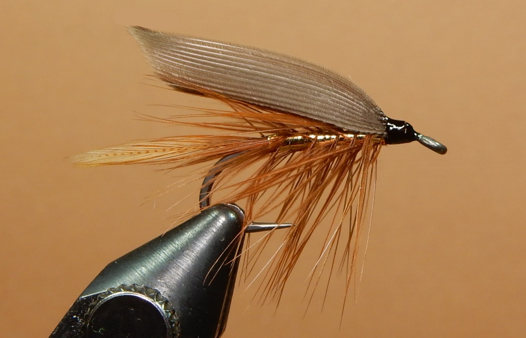 Wickham-s-Fancy-1080.jpg