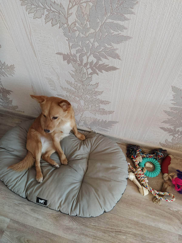 IMG-acf7367257d860748ed8e3a285962a35-V