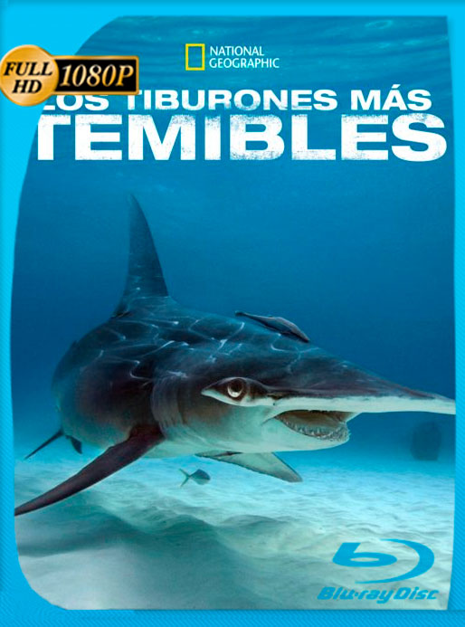 Los Tiburones Más Temibles (2020) WEBRip 1080p Latino [GoogleDrive]