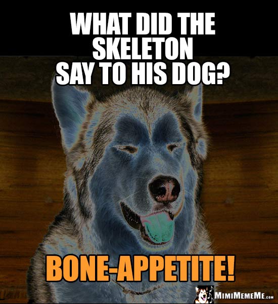 What does his dog. Halloween meme Dog. Doggy appetite.