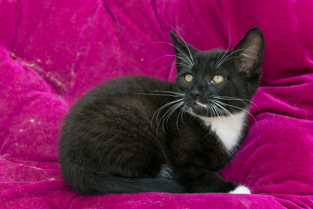 ?омка и Марго-21