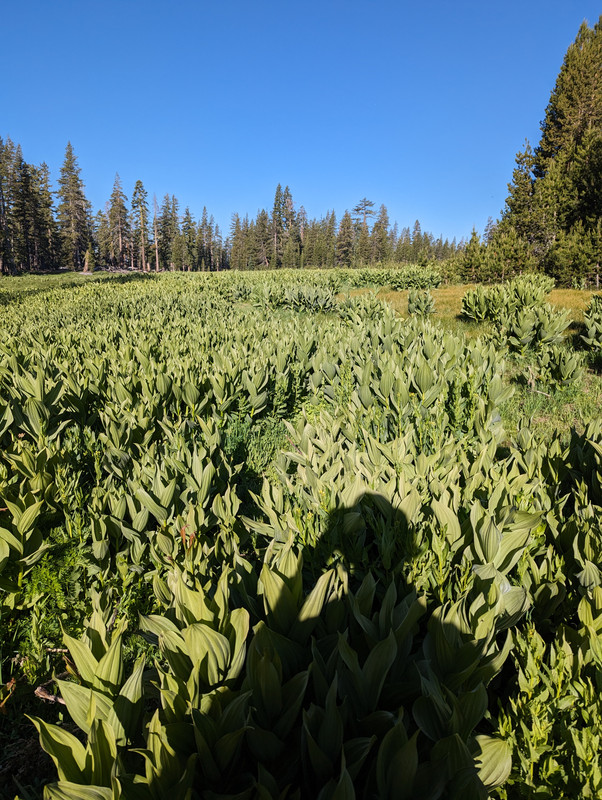 PXL_20250710_145945830