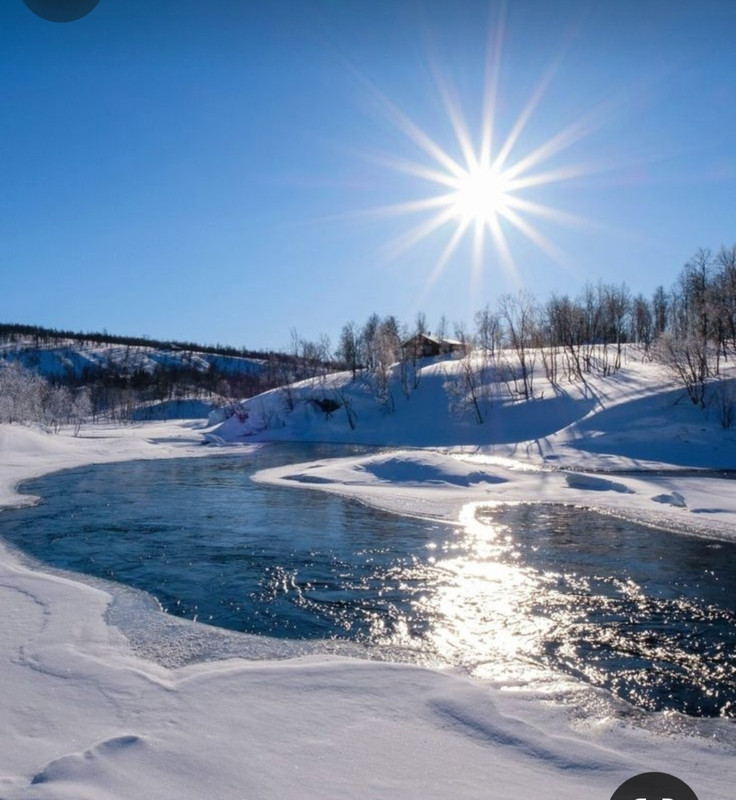 Screenshot_20240126_143532_Pinterest