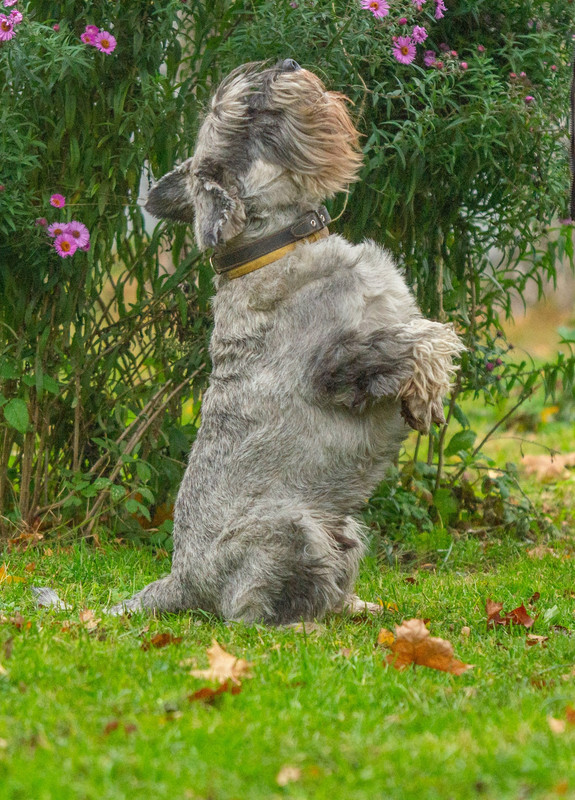 Z4R_ngbE-CepaaY5B_Ho0aLwIT8zqj33sx-wneGF2ylf80nBJgiemhA1Ukbg-xmoU4tZiaPOJ8cAwOME6_zfnFiH