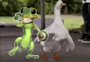 [Image: Ech-Vit.gif]