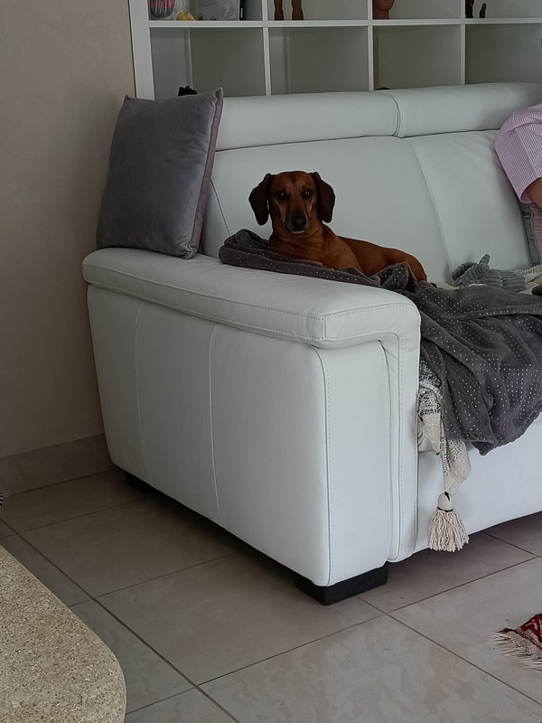 [Image: thumbnail-IMG20220614131339.jpg]