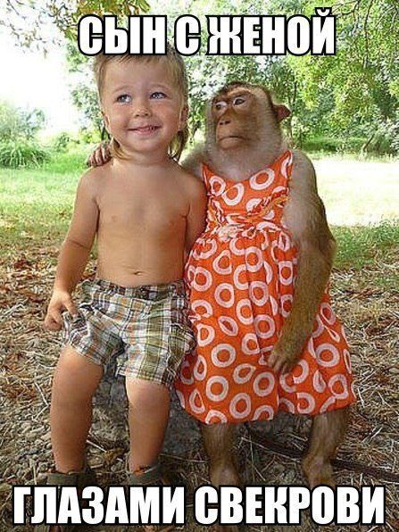 f0d3fba48662022329e3be17e9a4e40c