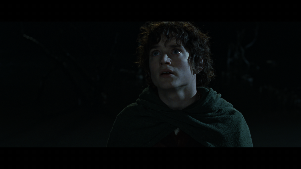 The Lord of the Rings- The Fellowship of the Ring (EXT.).mkv_snapshot_00.16.03_[2020.12.05_22.41.33]