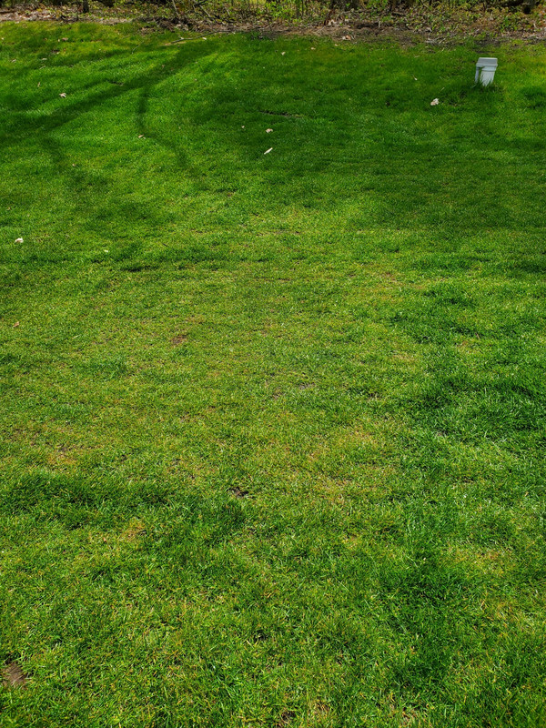 FCB4999E-6AA2-4CA4-B2F7-5AD47069E4EA