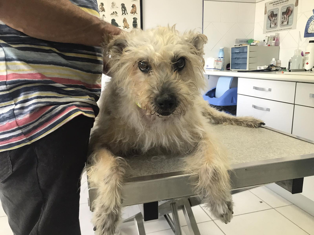 3E8B1442-4F9C-4153-96D4-F9DE6A238B1B