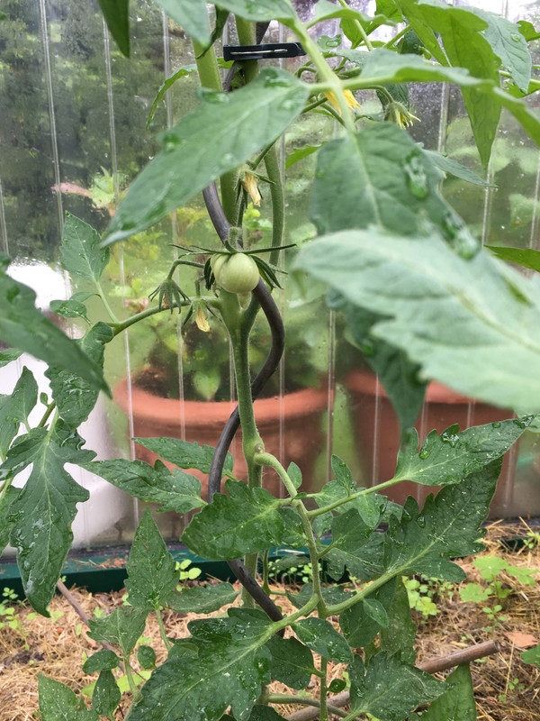 E52A5BB5-CDE7-45D9-922E-05C1298F0126