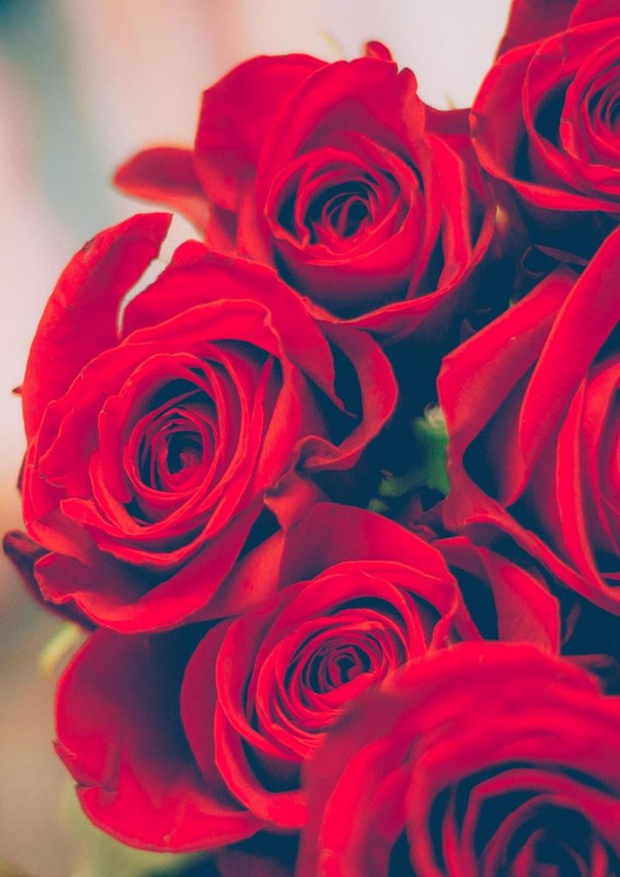 4A482A41-516C-4F3E-A548-69D3870B2B3E