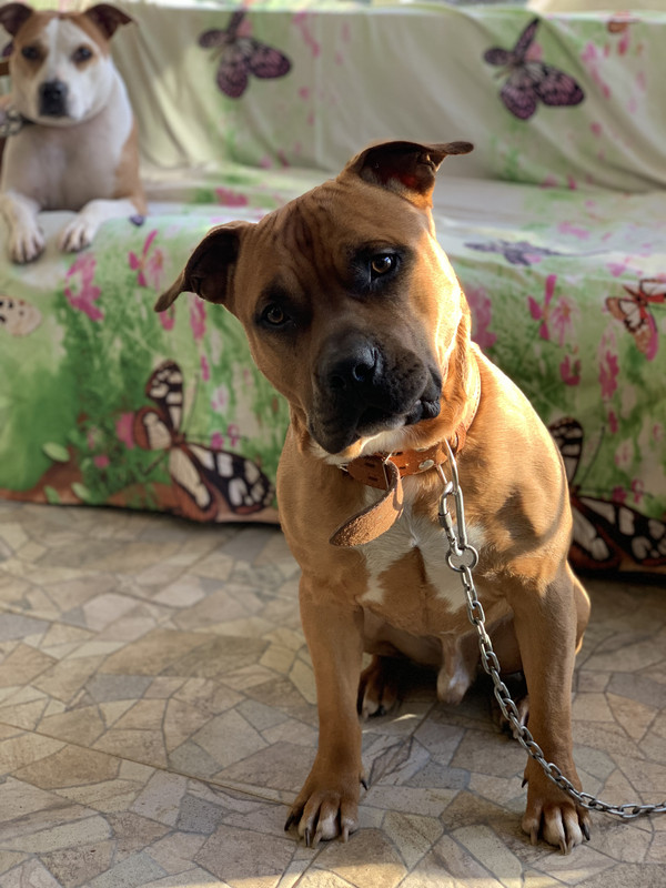 8C42D02C-1C91-4CB3-8170-86A902C1DA7D