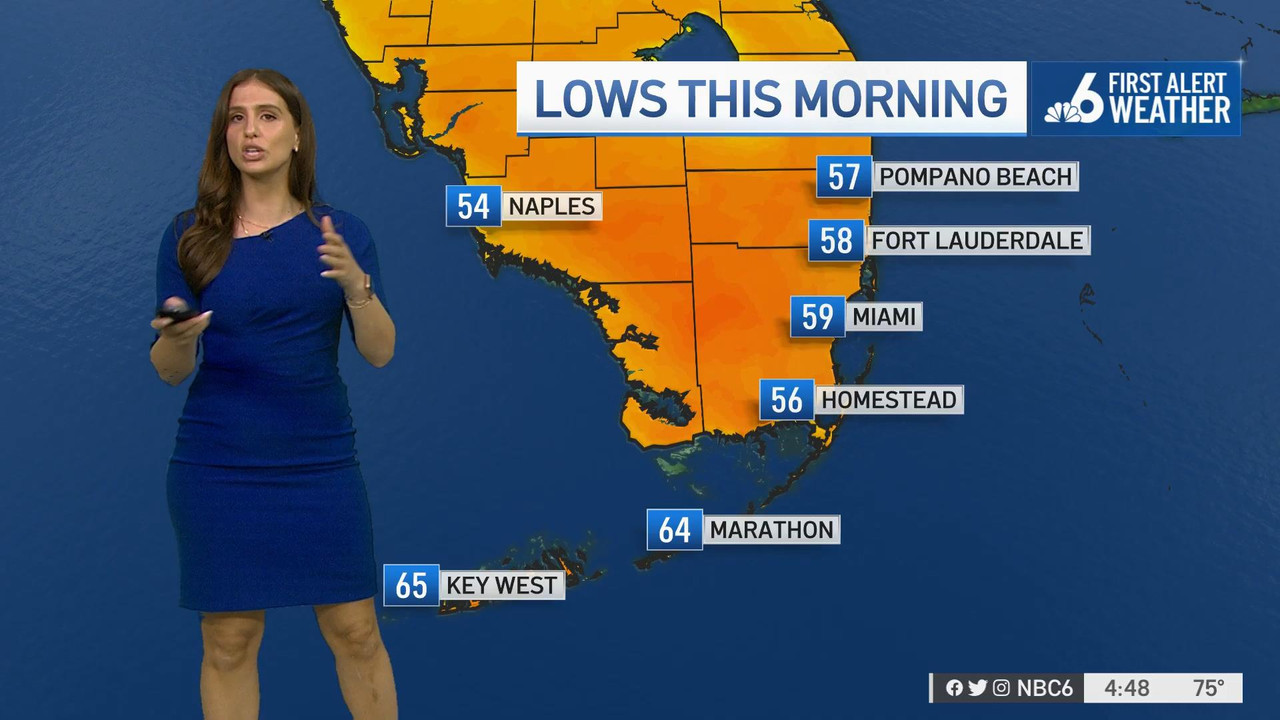 11.30 - 21.00.00 - NBC 6 South Florida News at 4pm. Local news, sport....ts_snapshot_00.49.43_[2021.