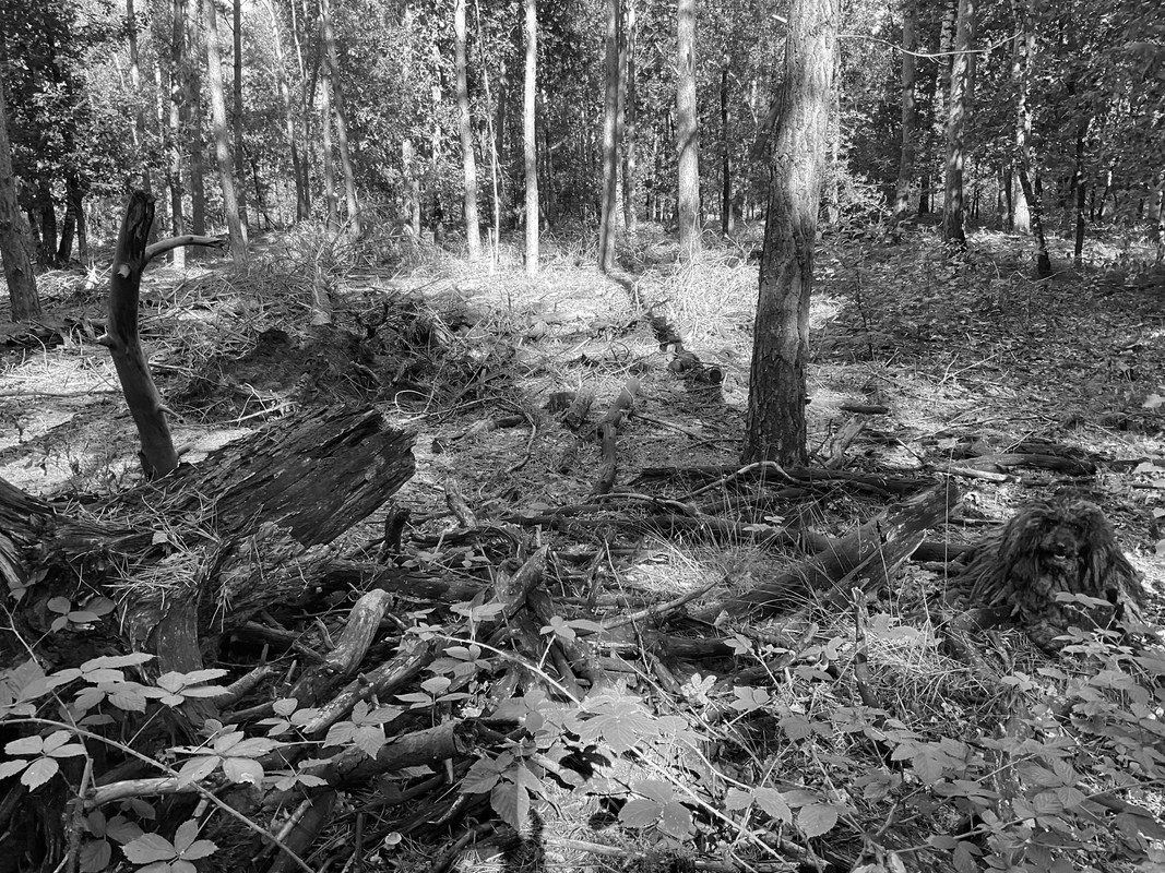 2EBAC1C7-762E-4B45-AF82-00F73559E8A7